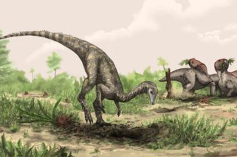 I dinosauri potrebbero essere più antichi di quanto