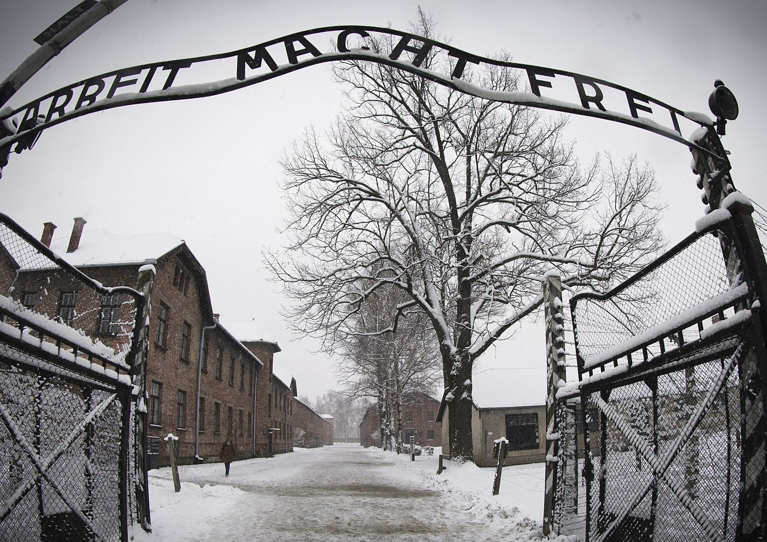 27 gennaio 1945 Auschwitz è liberata. “Figuriamoci se avevamo qualcosa da festeggiare”