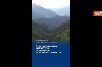 Online la mappa interattiva degli alberi monumentali d'Italia, più di 4mila esemplari di 280 specie