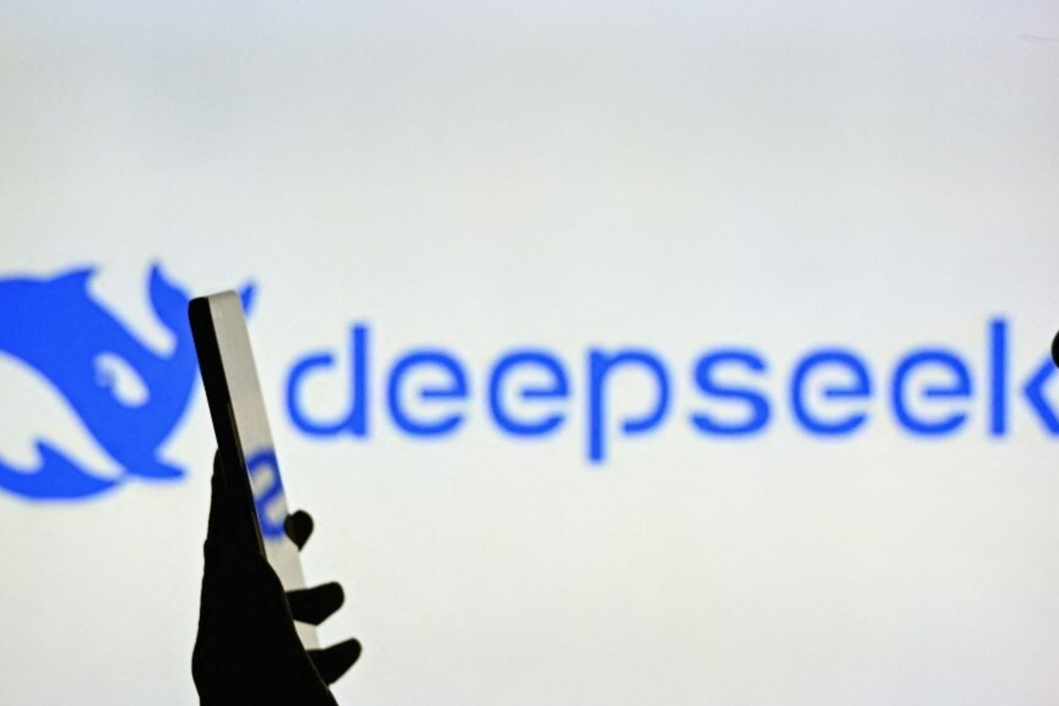 DeepSeek