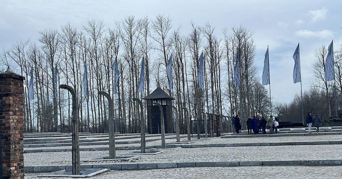 I pronipoti dei deportati tornano ad Auschwitz. Jacopo Tagliacozzo: "Vedere è di una potenza incredibile"