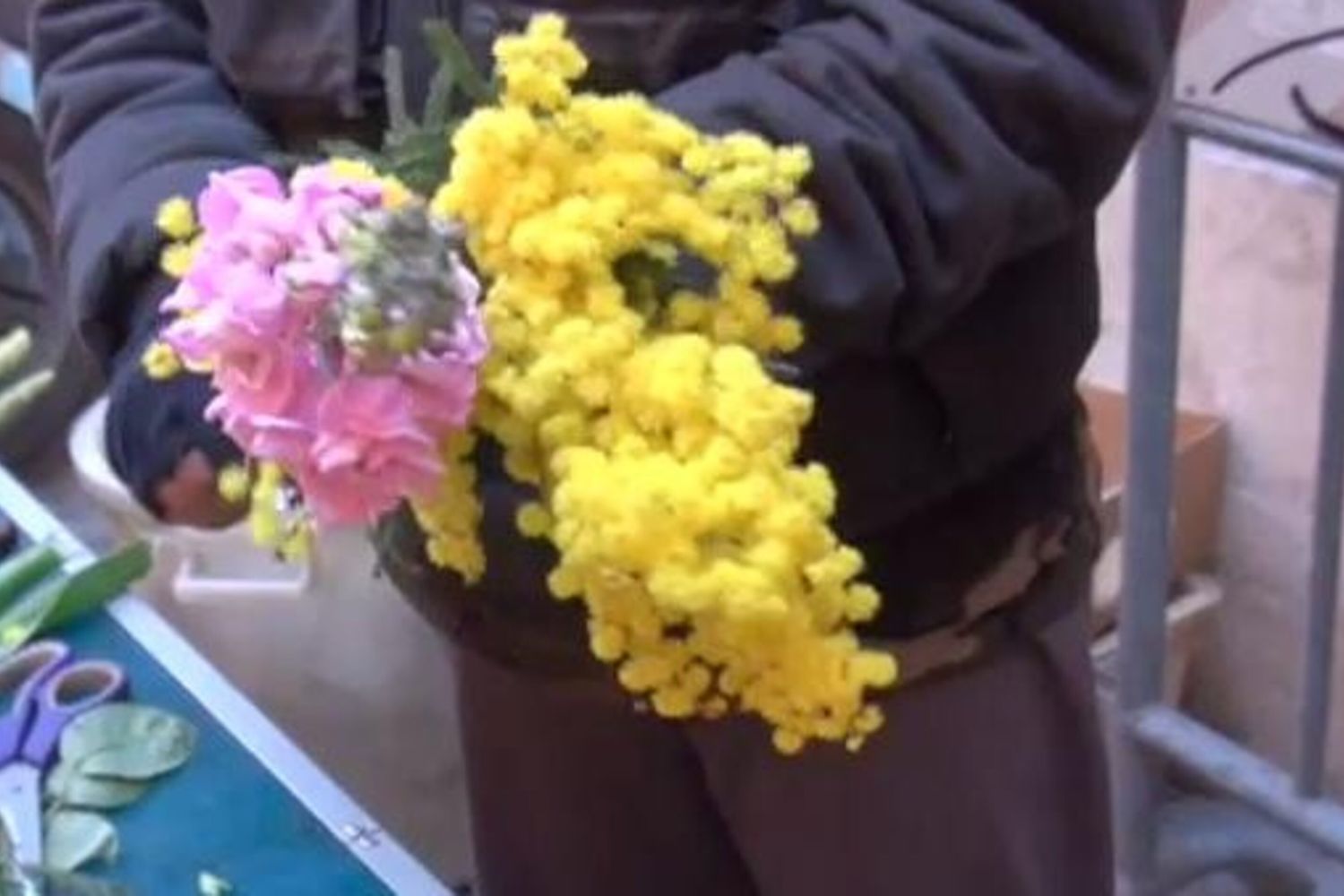 &nbsp;mimosa festa donna