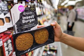 Grilli e larve nel piatto? Gli italiani non sono interessati