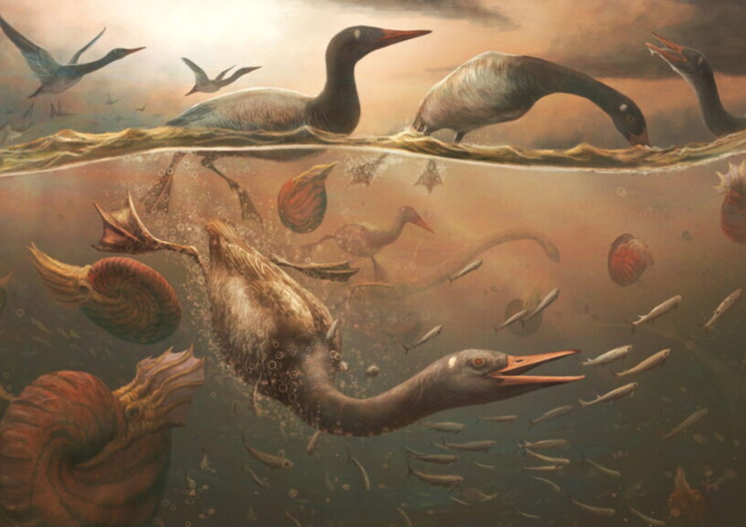 primo fossile uccello moderno antartide