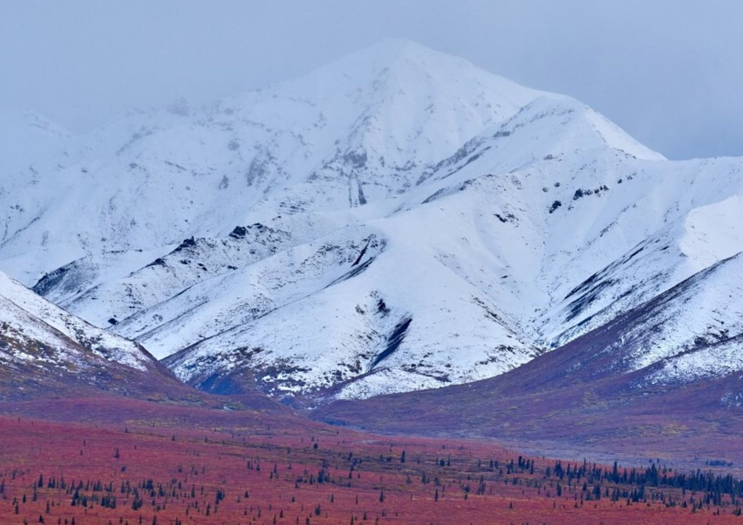 Il monte Denali ridiventa McKinley? L'Alaska dice no a Trump