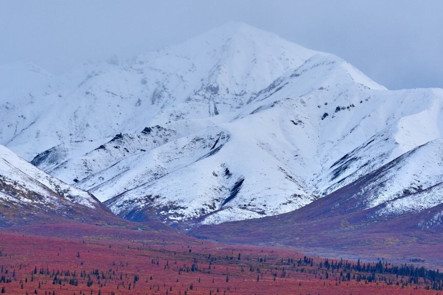 Il monte Denali ridiventa McKinley? L'Alaska dice no a Trump