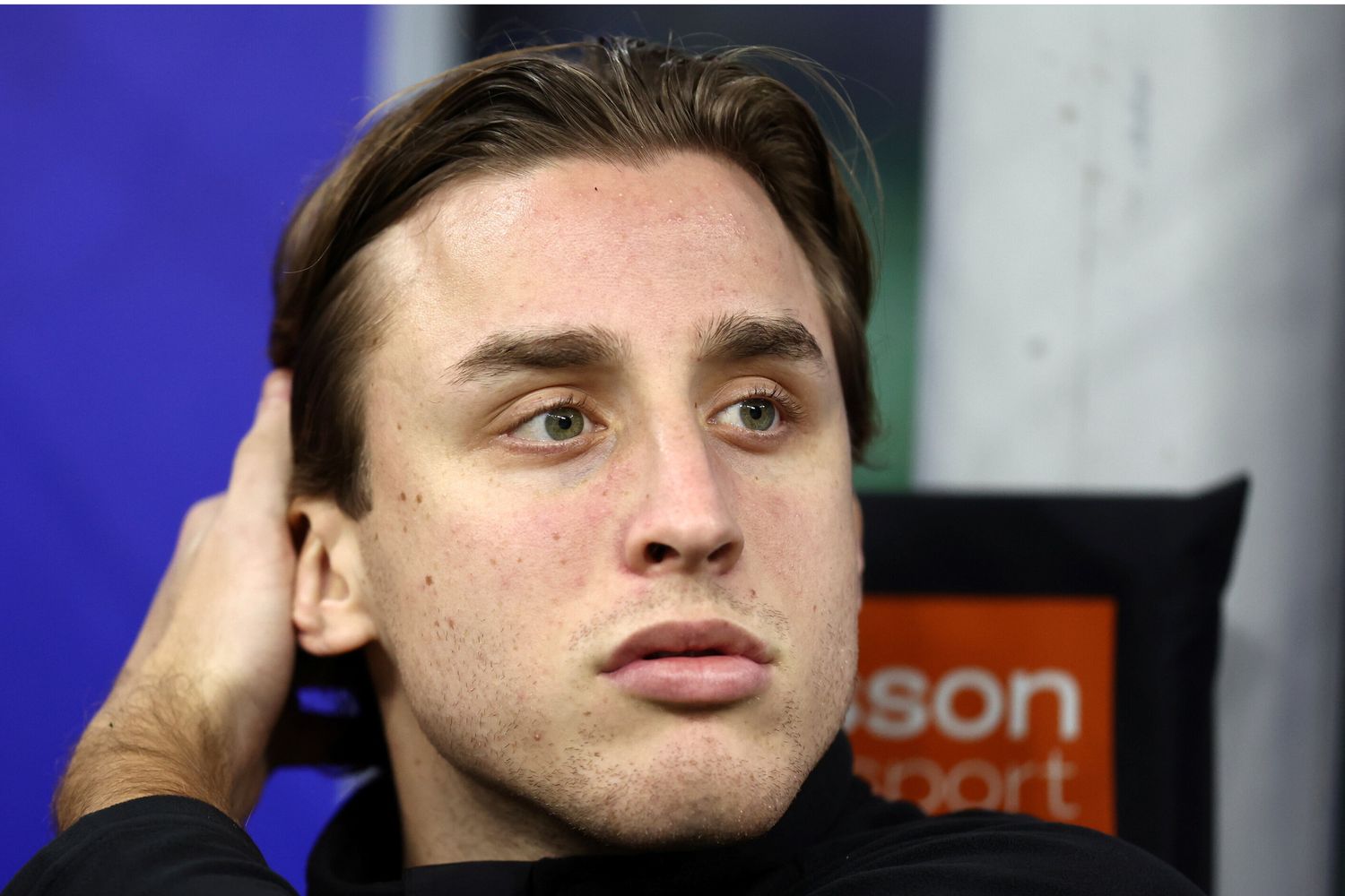 Bove, dal malore al Festival (sognando il ritorno in campo)