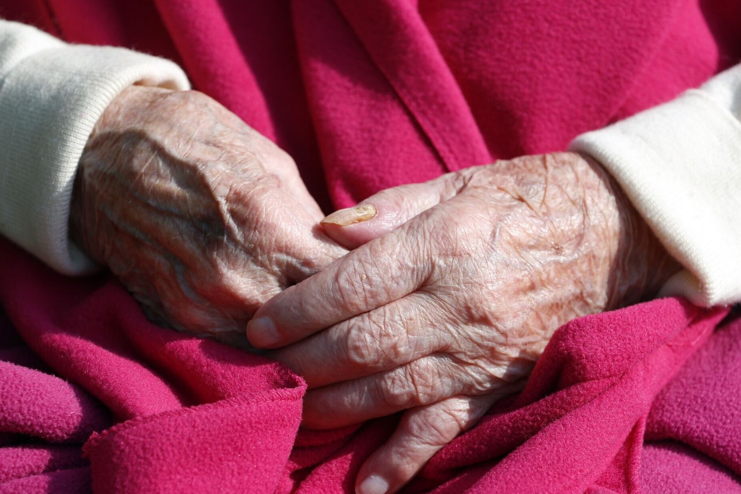 Alzheimer, in Italia quasi due milioni di persone soffrono di demenza