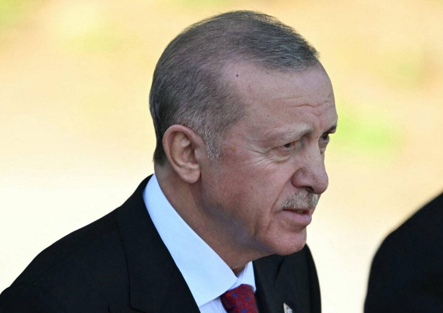 Erdogan attende Zelensky ad Ankara: 'Pressing per la pace'