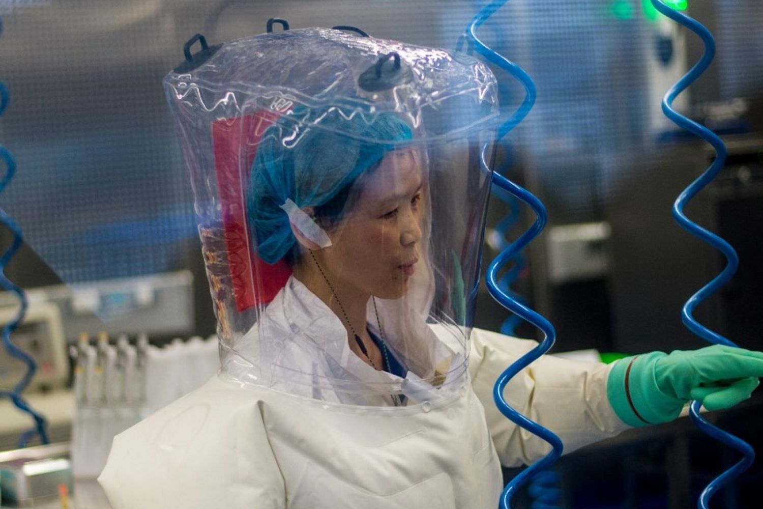 La virologa Shi Zhengli, nota come 'Batwoman', ha scoperto un nuovo coronavirus che può colpire l'uomo