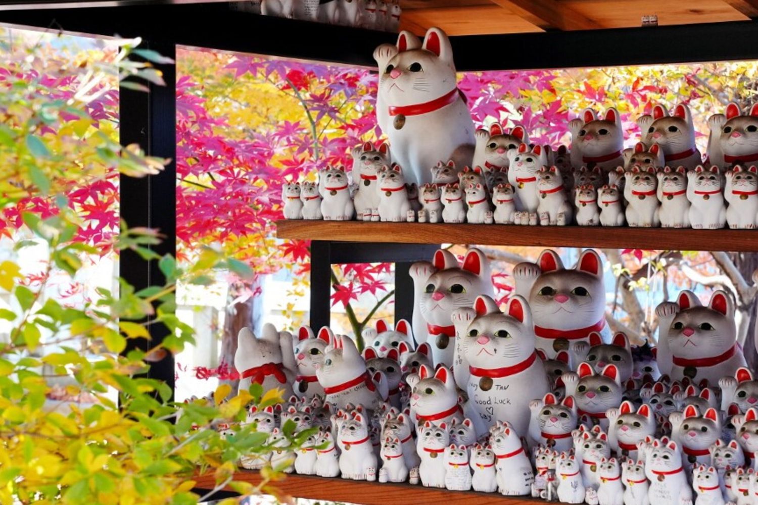 Maneki-neko