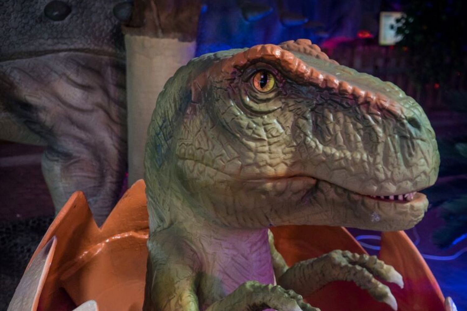 'Dinosaurs Live Jurassic Tour Exhibition'
