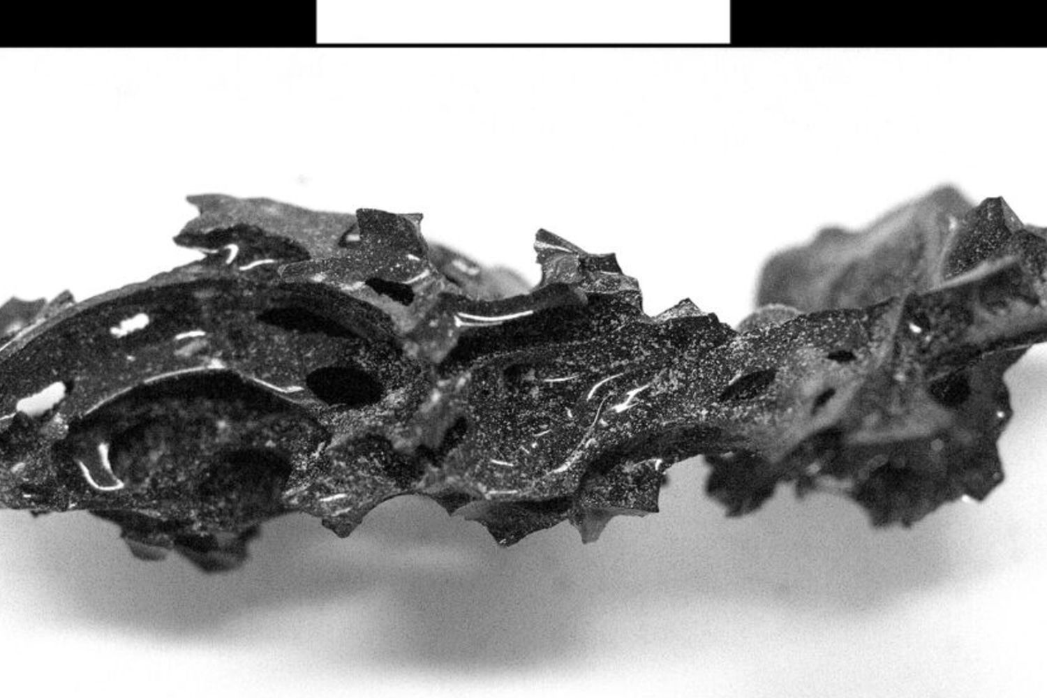 Chiarito il mistero del cervello vetrificato di un ercolanese vittima dell'eruzione del Vesuvio