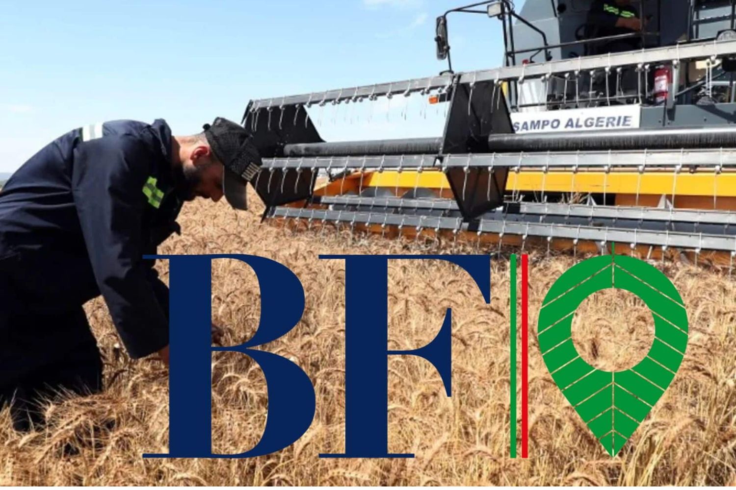 Un progetto agricolo da 420 milioni di dollari in Algeria per il Gruppo italiano Bf