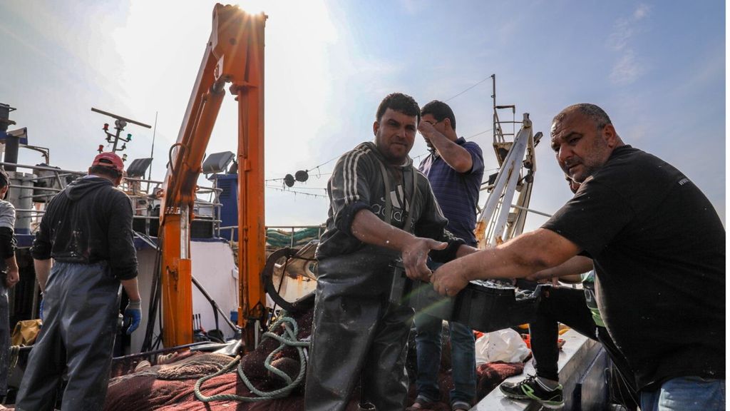 Un futuro agricolo e ittico sostenibile per la Tunisia con Adapt