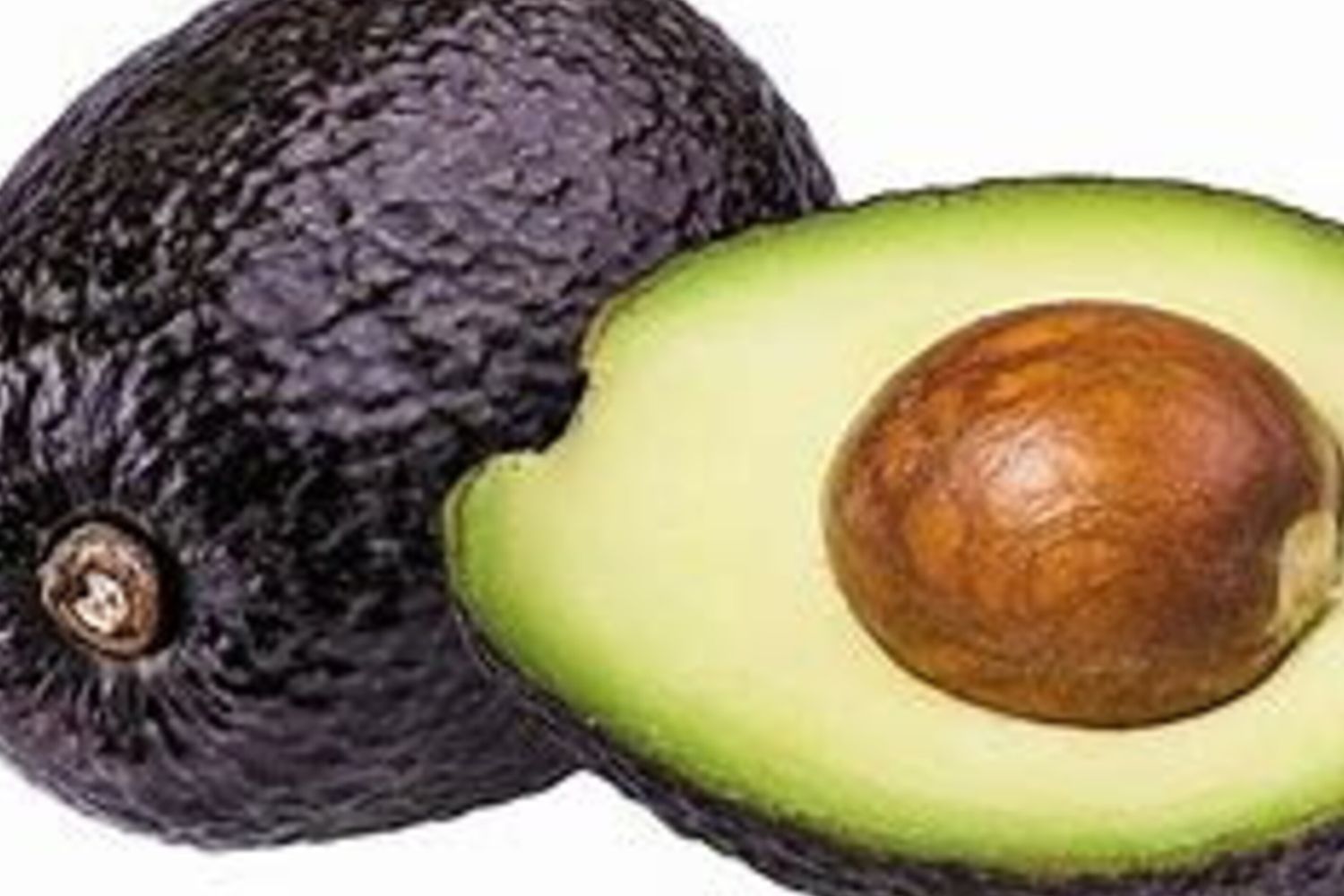 La domesticazione dell'avocado risale a oltre 7.500 anni fa