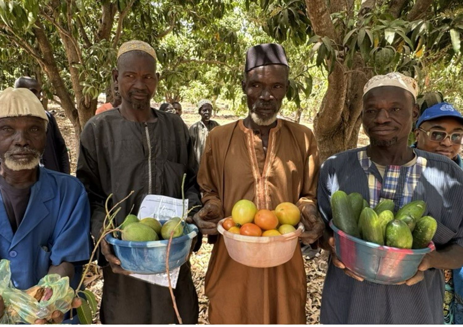Missione in Mali per Macfrut, focus sul sostegno all'export di mango