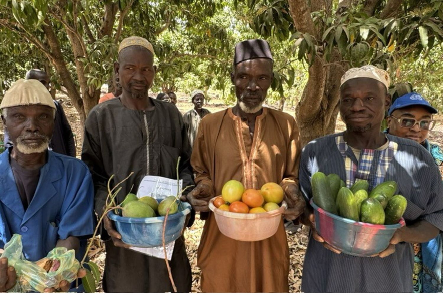Mission au Mali pour Macfrut, focus sur le soutien aux exportations de mangues