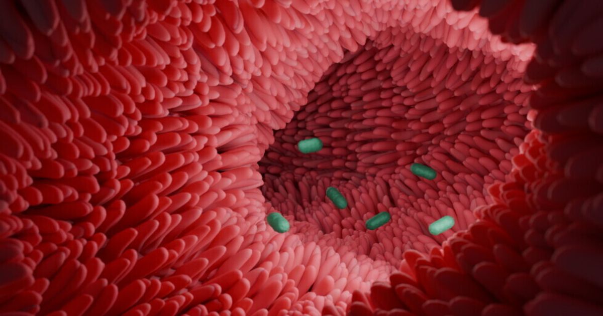 L'infiammazione cronica lascia memoria che favorisce il cancro