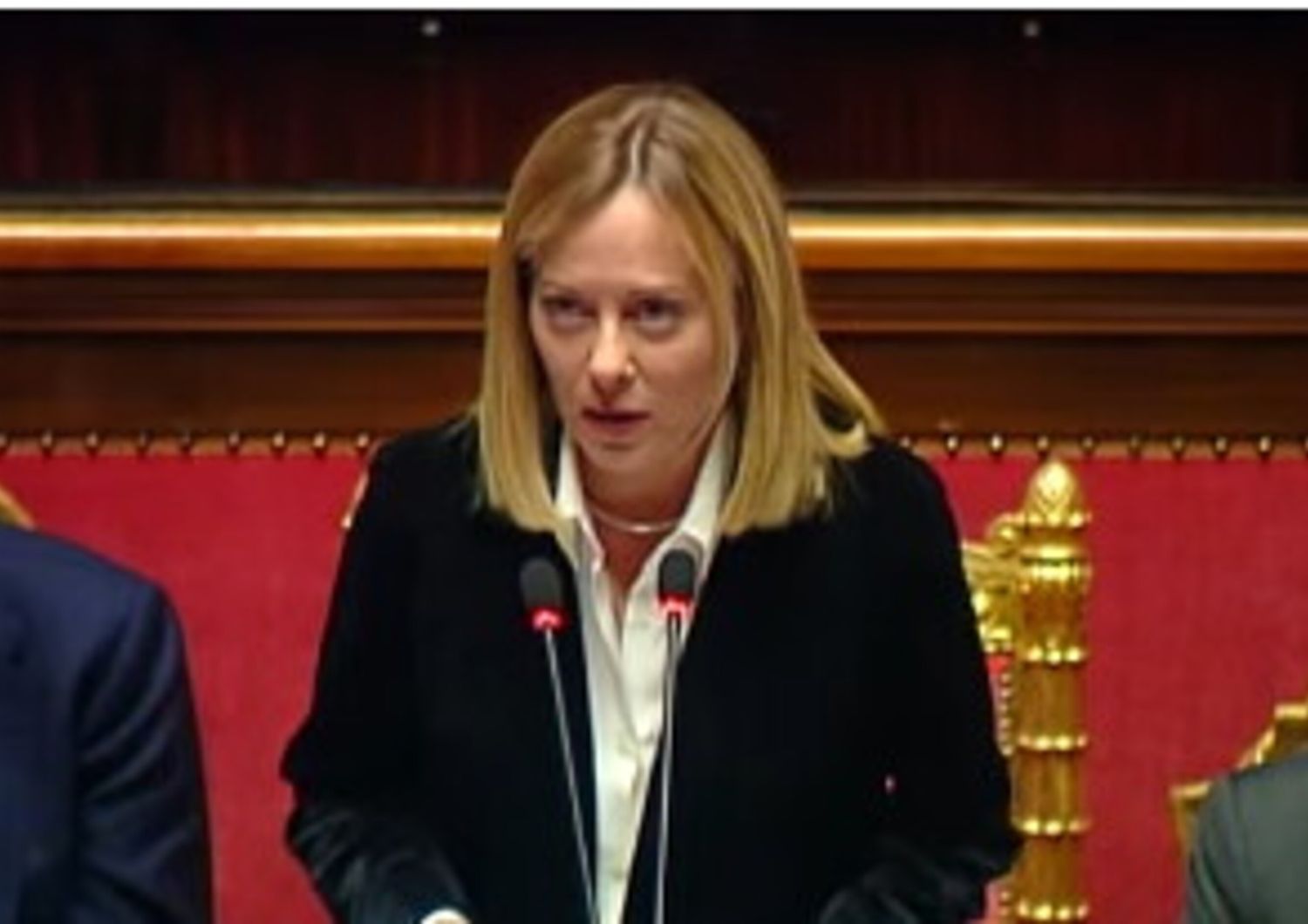meloni senato dazi non giovano nessuno
