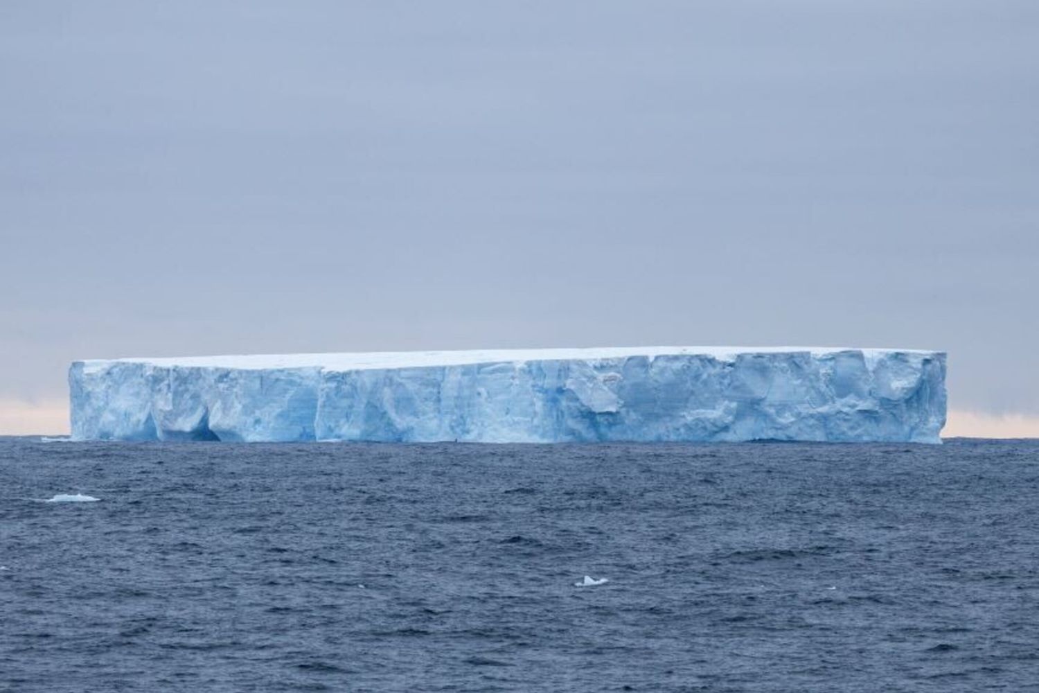 L'iceberg più grande del mondo è in rotta di collisione con una remota isola britannica