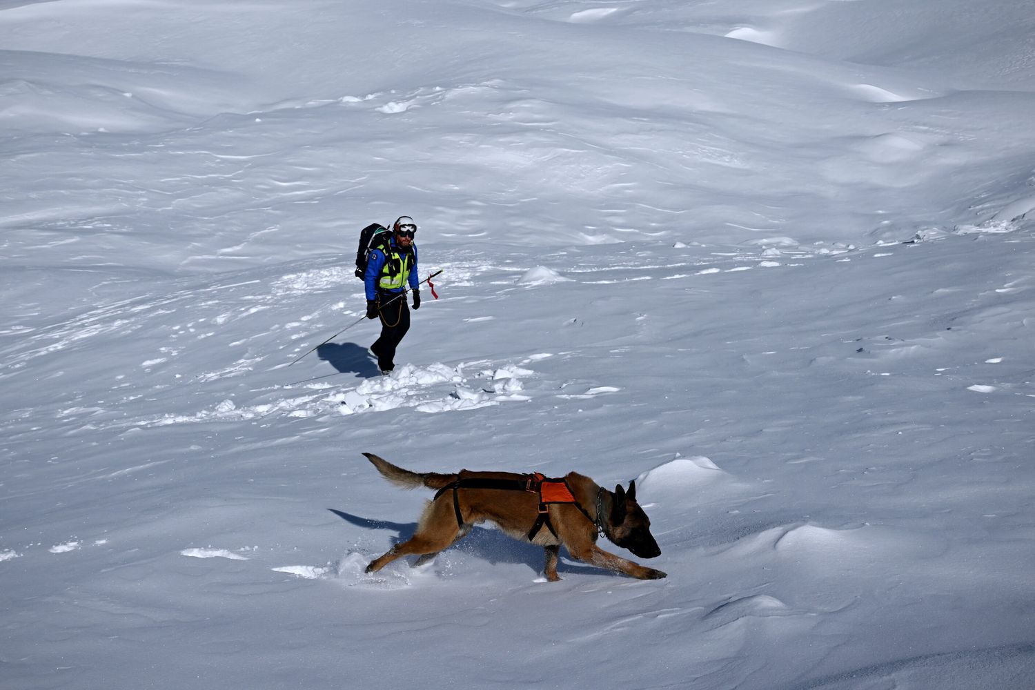 Incidenti in montagna, in Italia l'escursionismo è la causa principale. "Ancora troppe vittime"