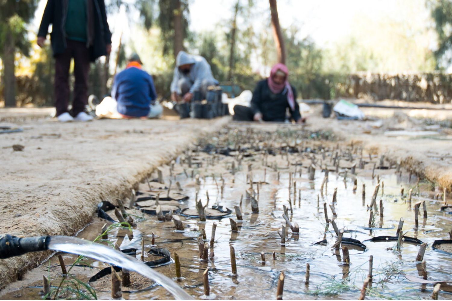 Tunisie-Italie: le programme Tanit contribue à améliorer la gestion des ressources en eau