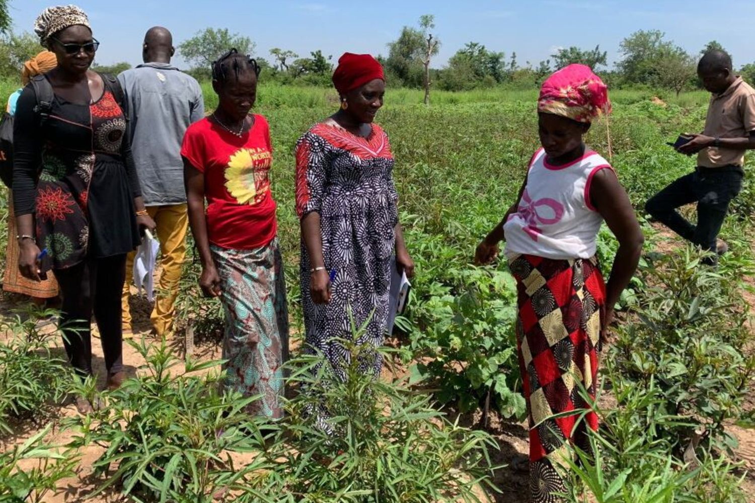 L'impegno della cooperazione italiana nelle zone di crisi, nel Sahel e nel Corno d'Africa