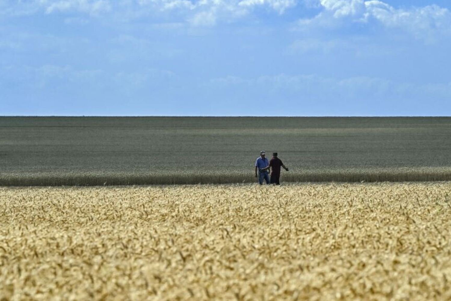 Accordo Bonifiche Ferraresi-Congo per un progetto di sviluppo agricolo sostenibile