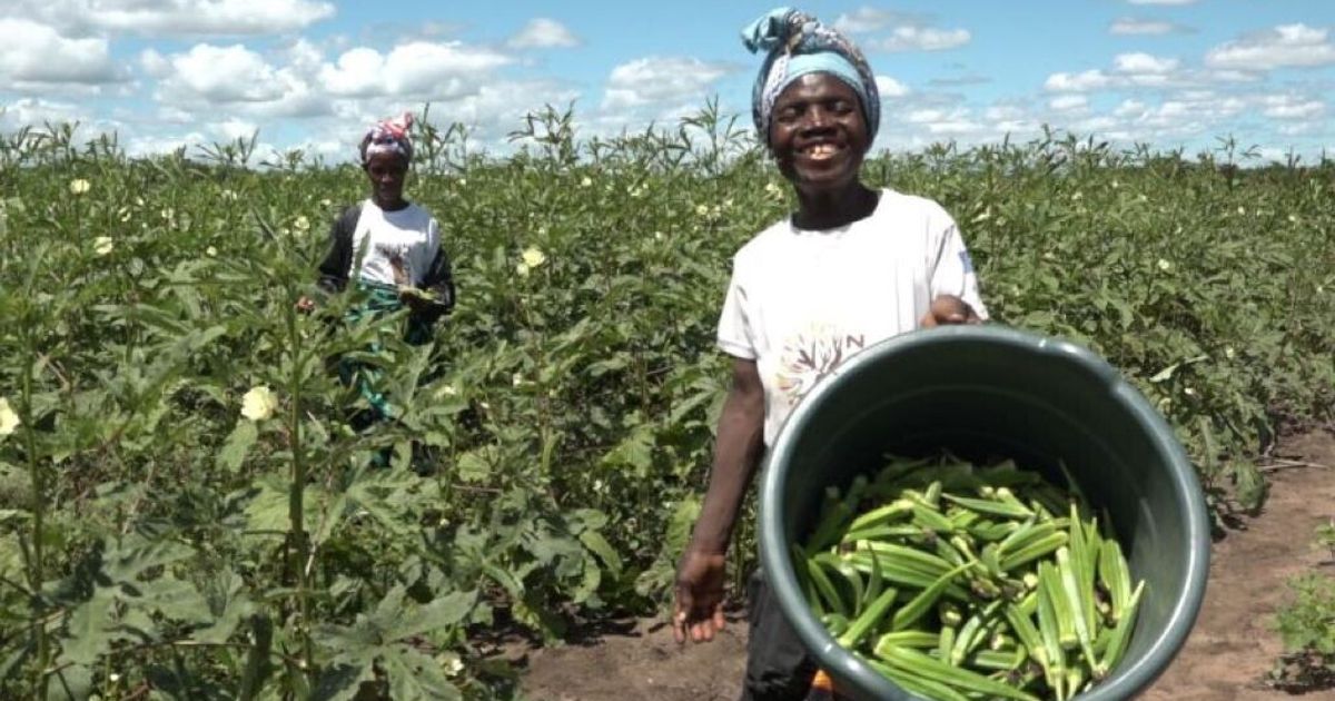 Mozambico: risultati incoraggianti del programma europeo di sviluppo ...