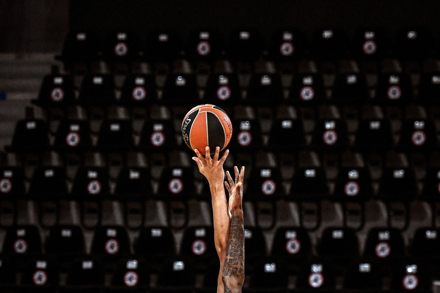 E' guerra per il controllo della NBL: Novelly sfida Kestelman