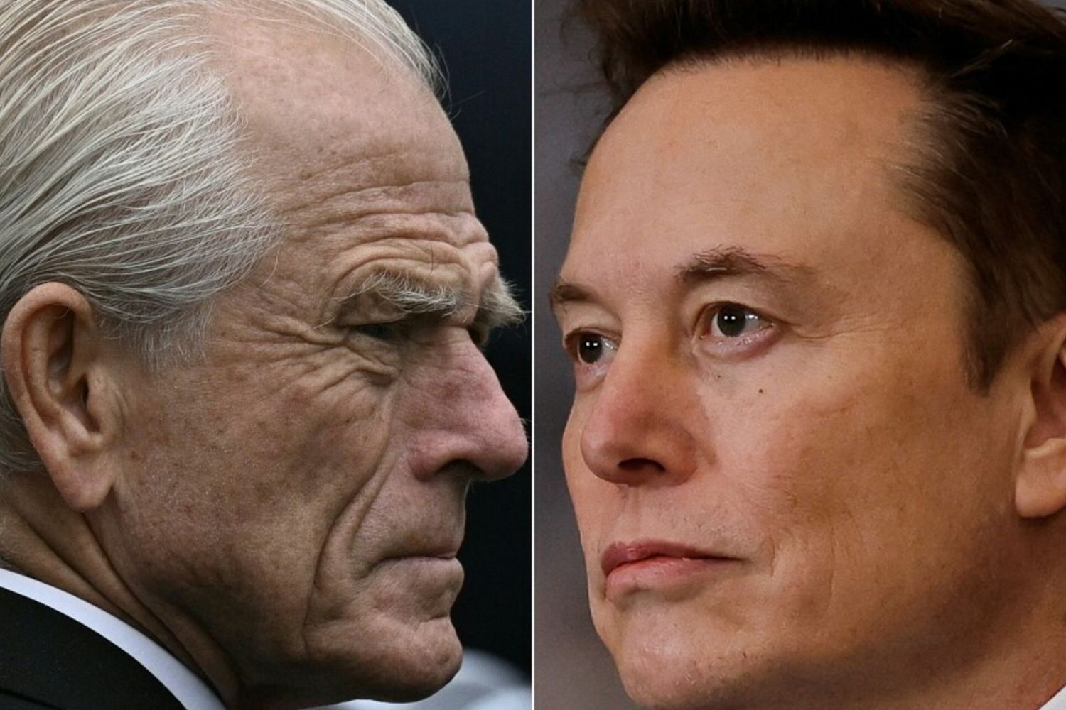 Prime crepe nell'amministrazione Trump? Elon Musk insulta Peter Navarro, "è un idiota"