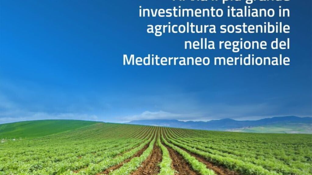 Italie-Algérie, possible expansion du projet agricole intégré dans la wilaya de Timimoun