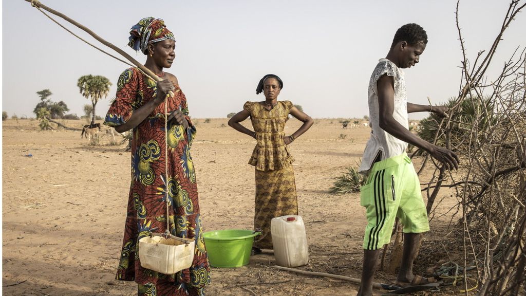 Bf International sostiene la produzione agricola sostenibile in Senegal