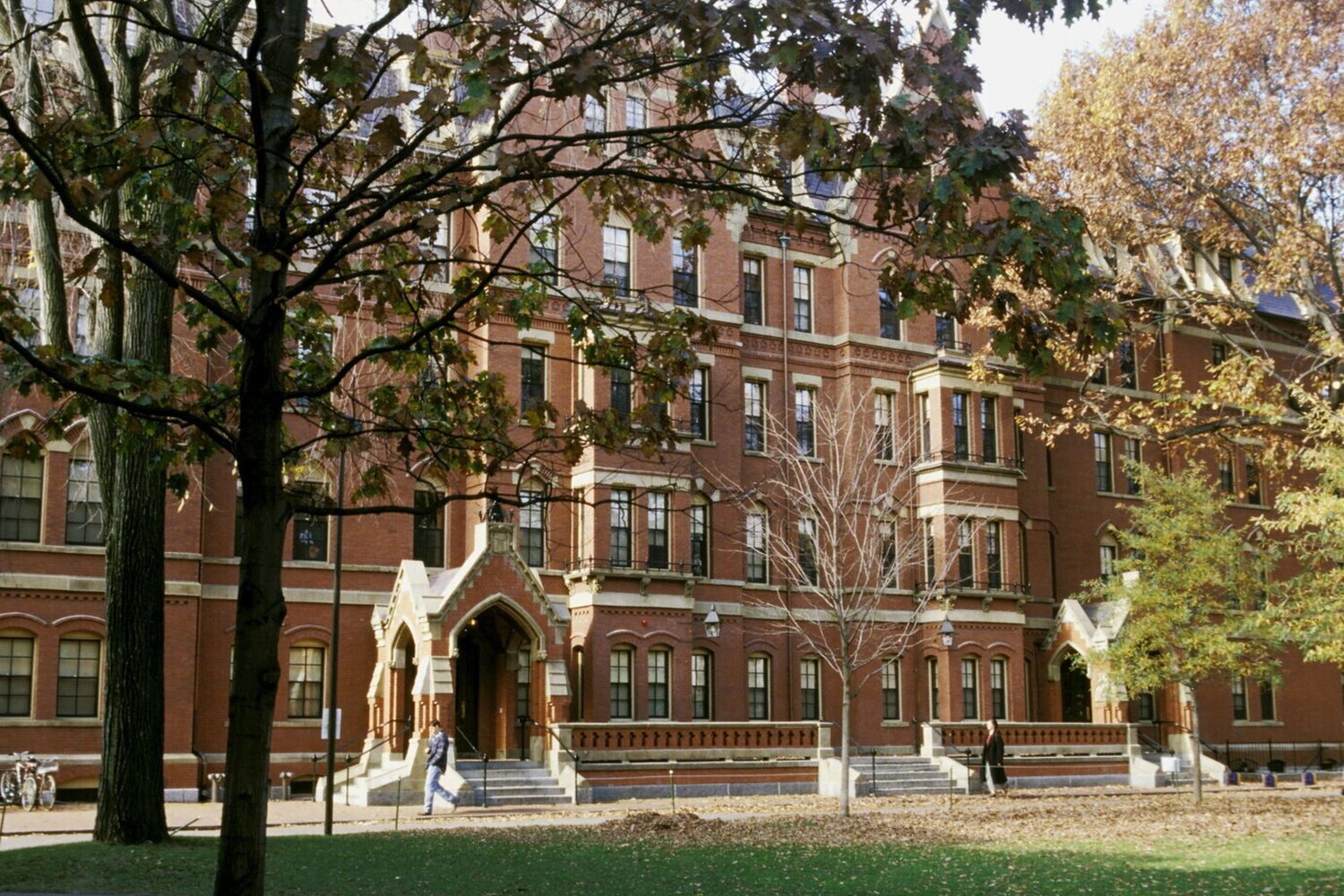 Trump contro Harvard: "Ha assunto due dei peggiori sindaci della storia degli Usa"