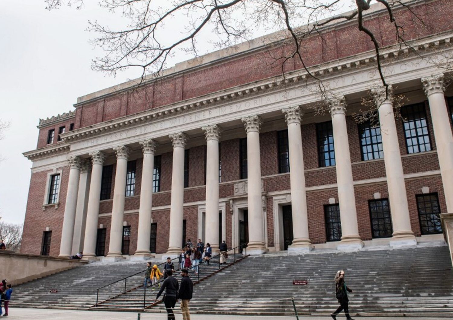guerra trump harvard&nbsp;
