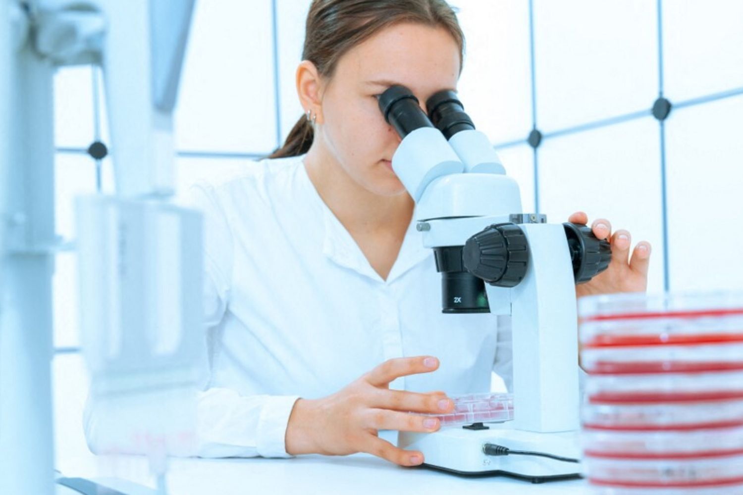 Per la prima volta in Finlandia è stato isolato un virus gigante