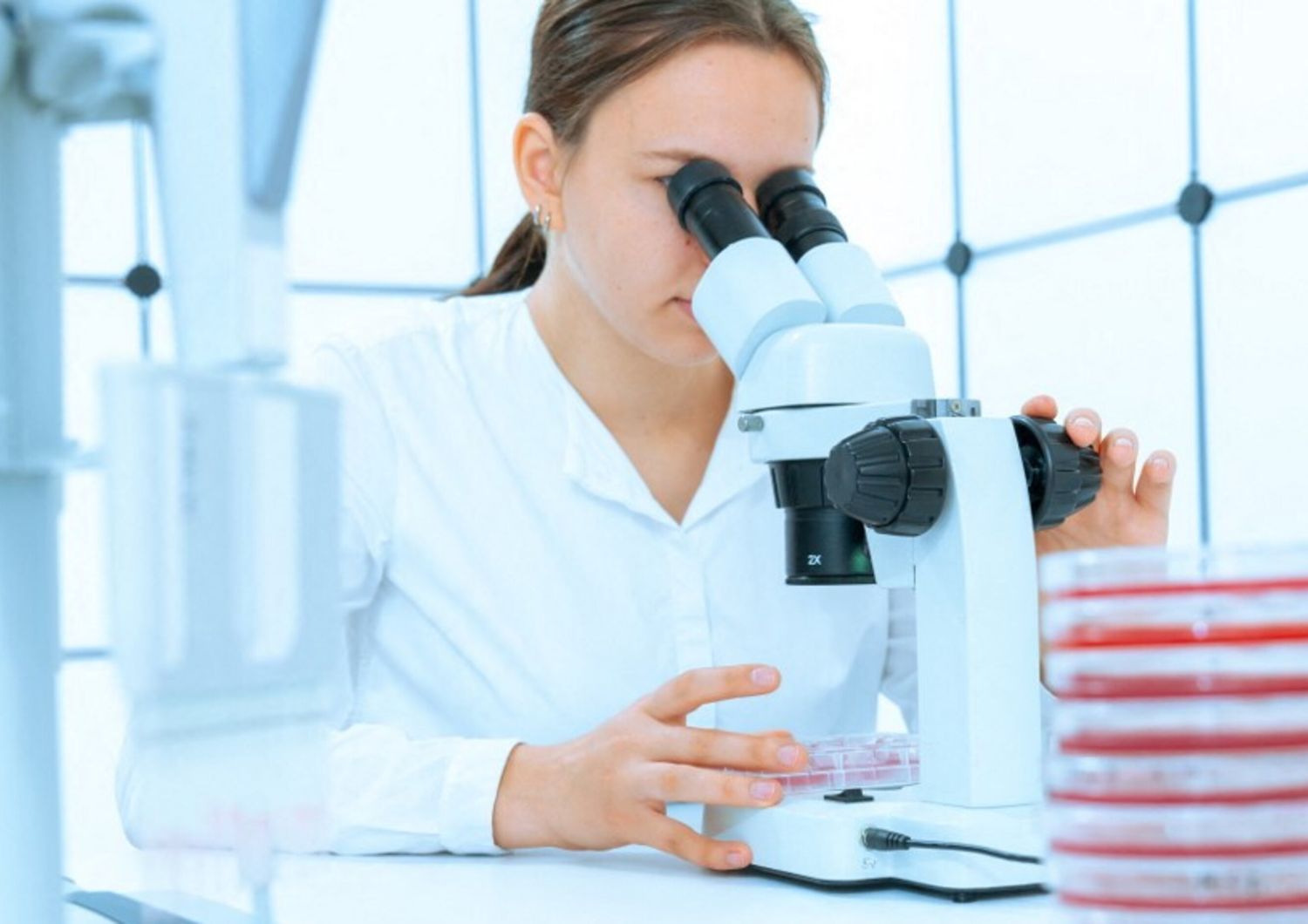 Per la prima volta in Finlandia è stato isolato un virus gigante