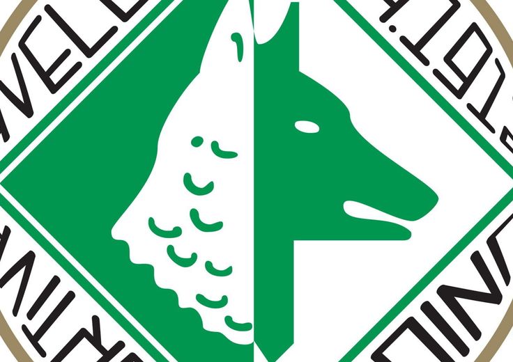 calcio avellino in serie b
