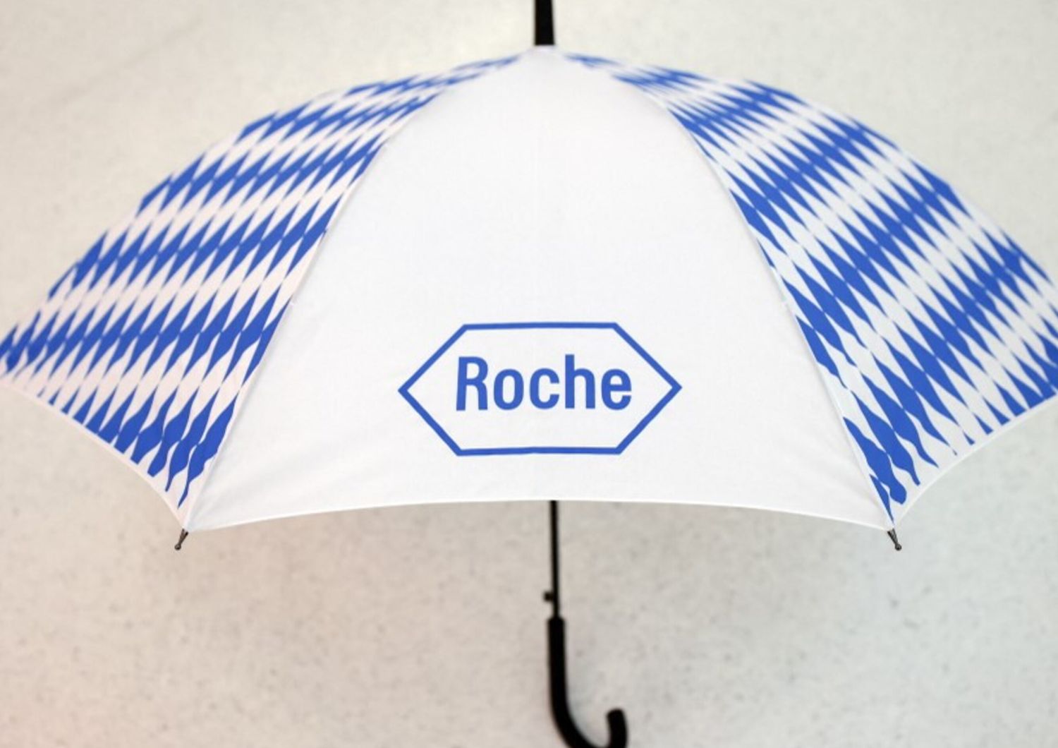 roche investimenti usa