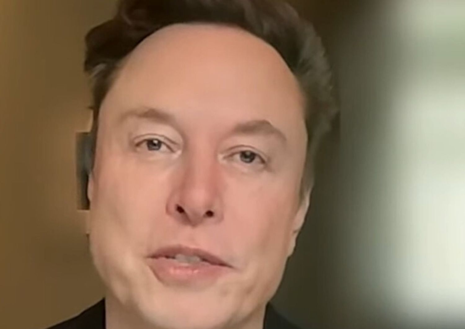 La Tesla crolla: Musk pronto a dedicare "meno tempo" a Trump