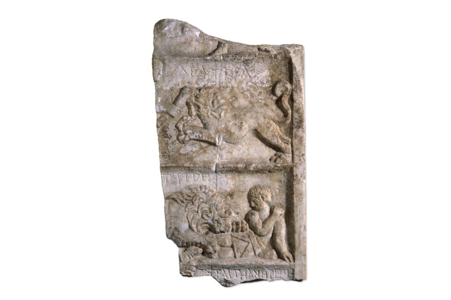 Un gladiatore morso da un leone: scoperta la prima testimonianza fisica di uno scontro