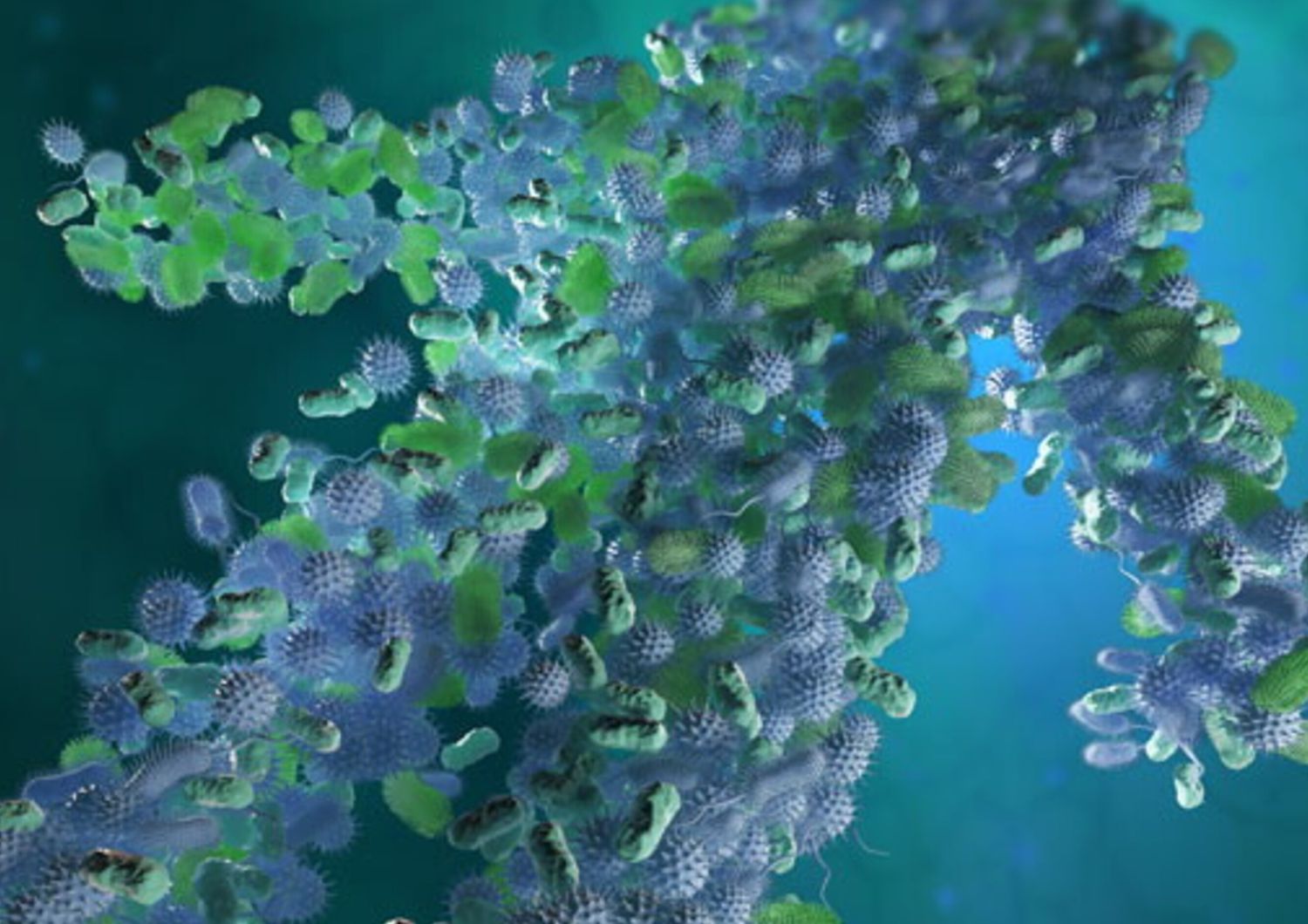 &nbsp;Microbiota, corpo umana (Afp)