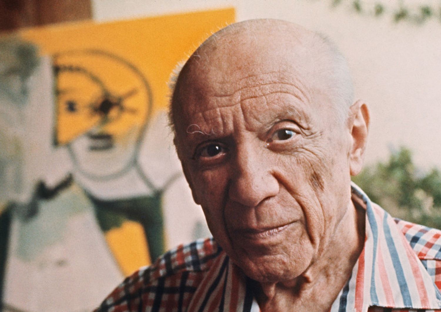 Sorpresa in un negozio dell'usato belga, ritrovata una ciotola di Picasso