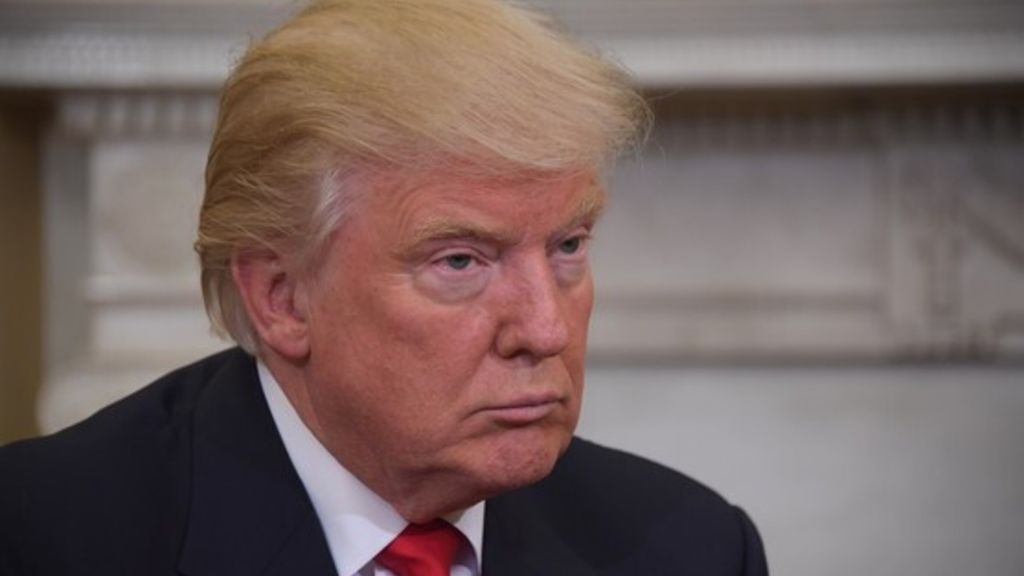 &nbsp; Trump Usa 2016 elezioni voto (afp)