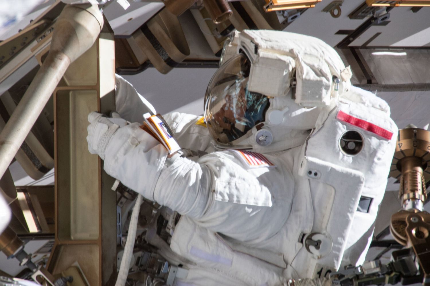 Allevamenti di uova di pesce nello Spazio