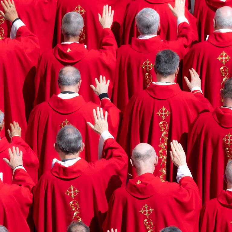 I cardinali ai funerali di Papa Francesco