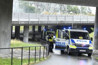 Polizia svedese