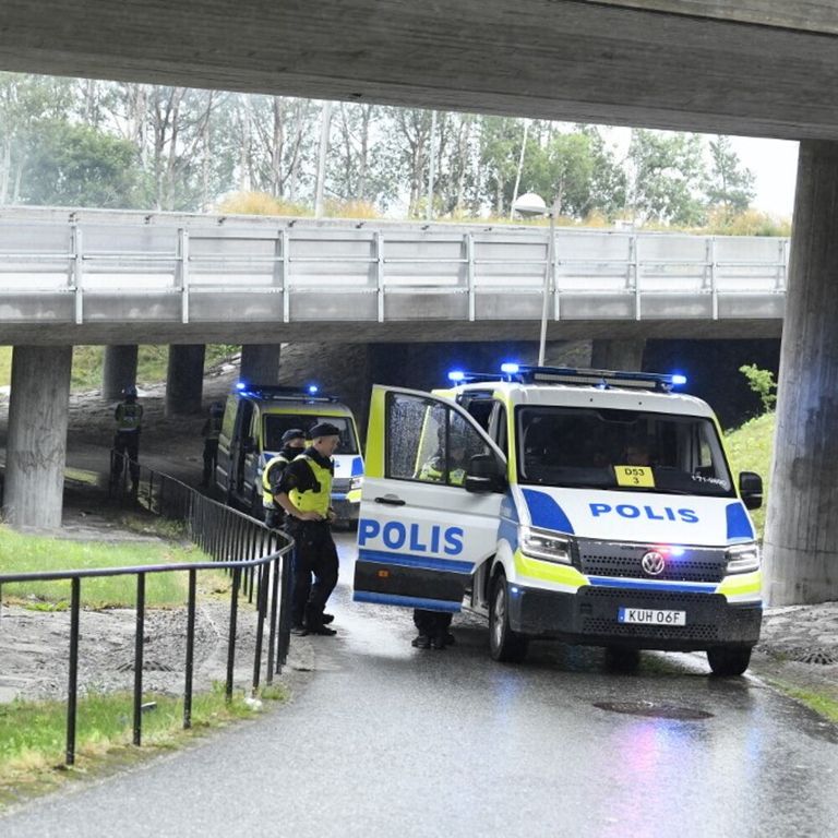 Polizia svedese