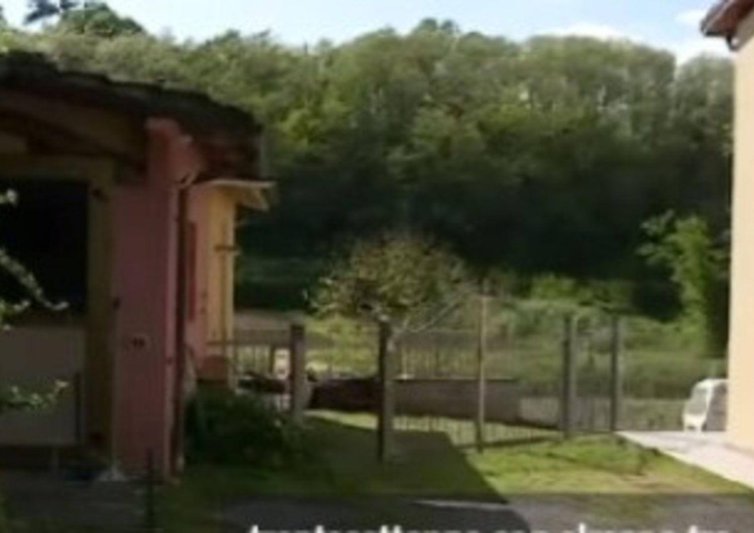 Morto il killer di Gucci